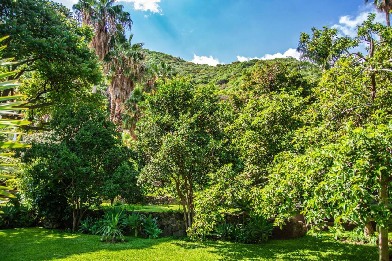 Casa Galeana- Tropical 1-Bd 1-Wc Mountain Top Luxury Suite With Stunning Views Ахихик Экстерьер фото