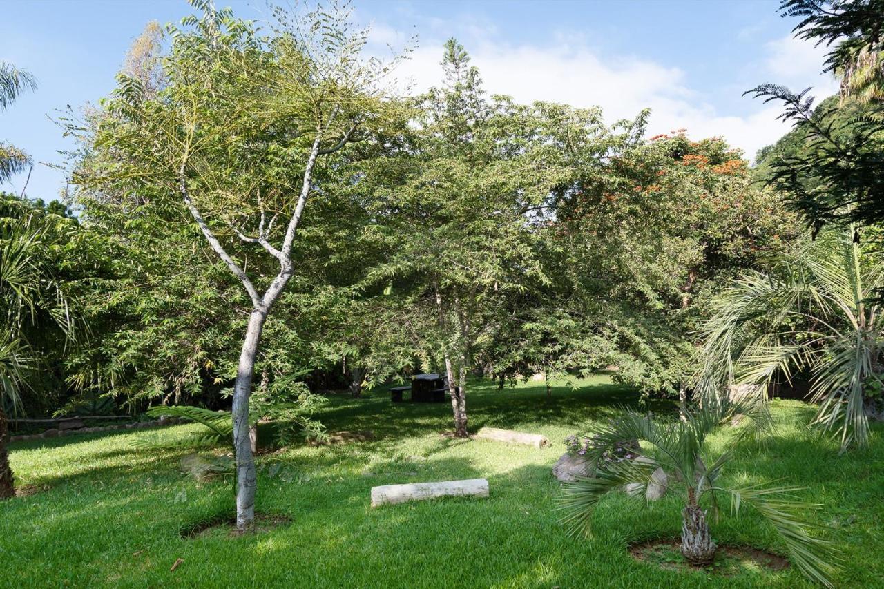 Casa Galeana- Tropical 1-Bd 1-Wc Mountain Top Luxury Suite With Stunning Views Ахихик Экстерьер фото