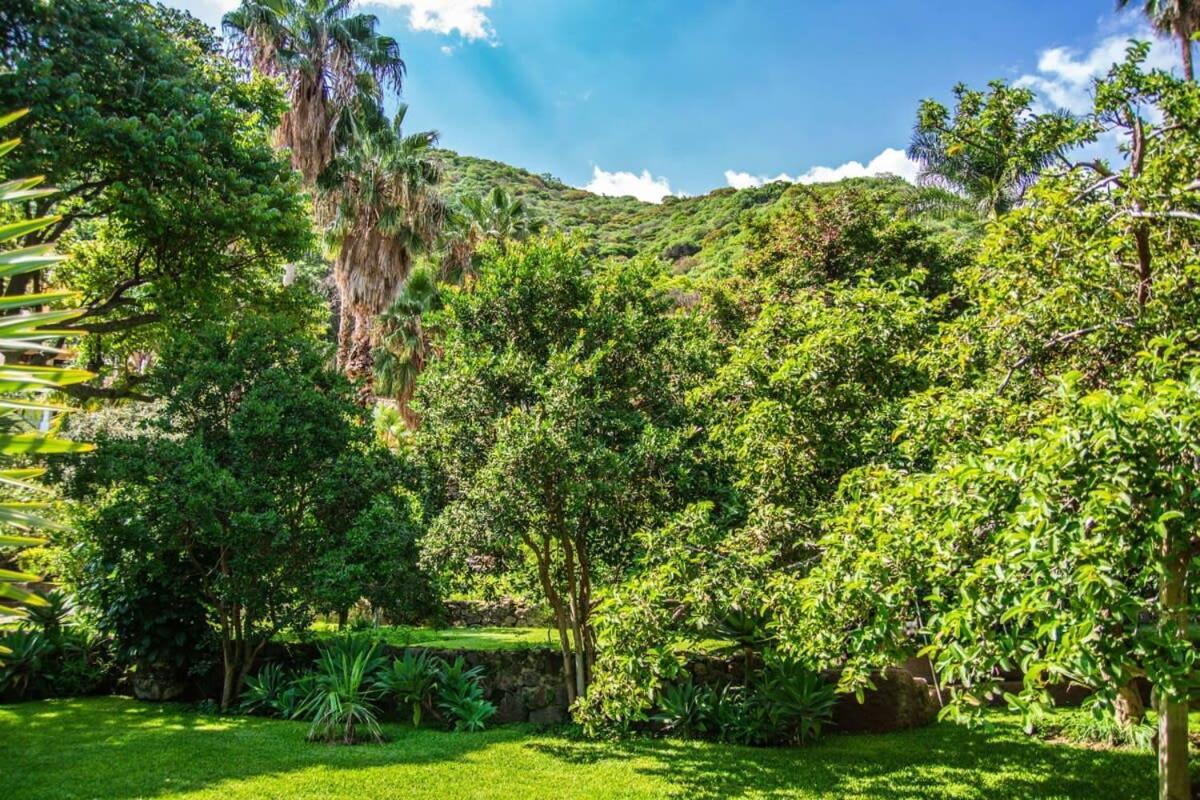 Casa Galeana- Tropical 1-Bd 1-Wc Mountain Top Luxury Suite With Stunning Views Ахихик Экстерьер фото