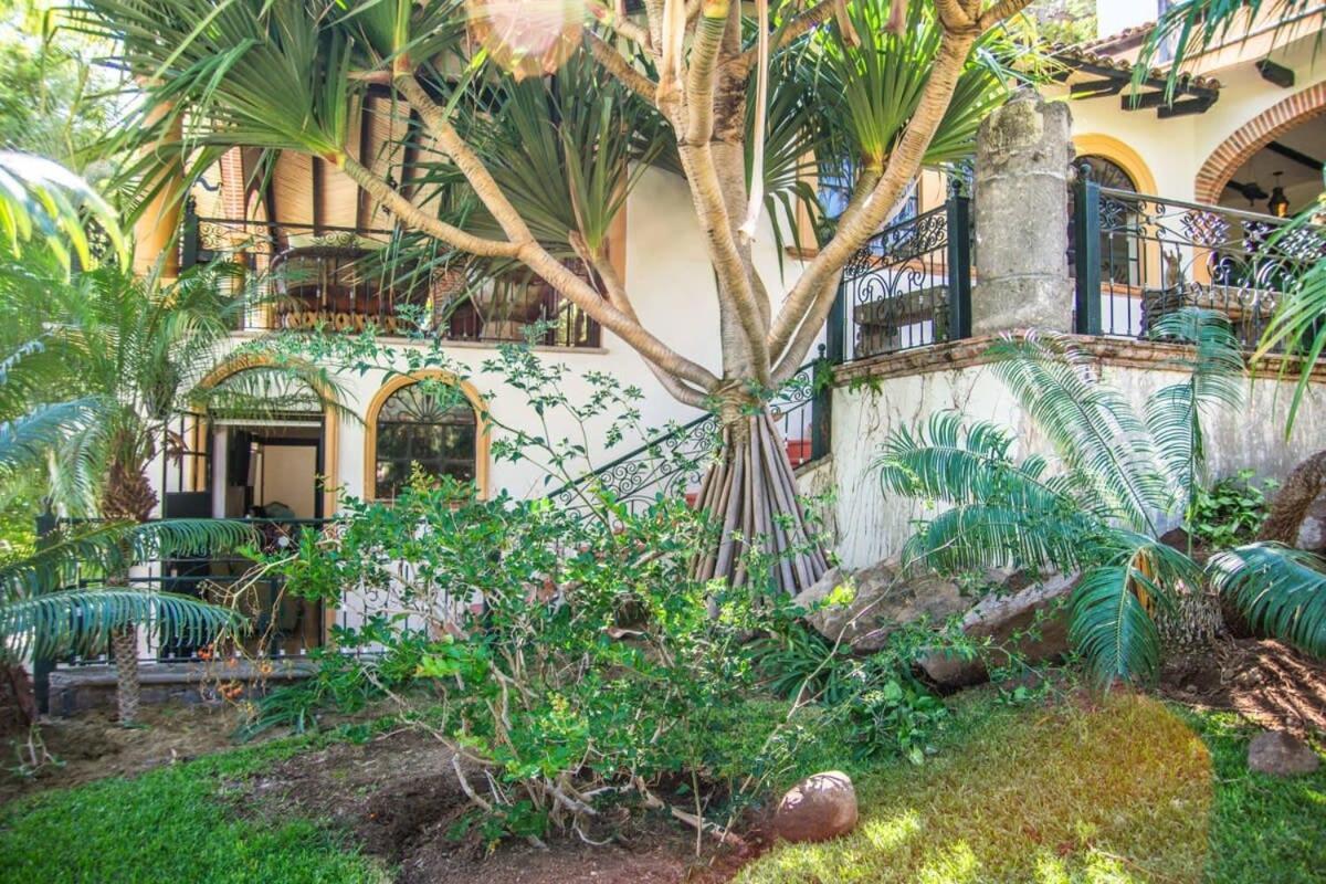 Casa Galeana- Tropical 1-Bd 1-Wc Mountain Top Luxury Suite With Stunning Views Ахихик Экстерьер фото